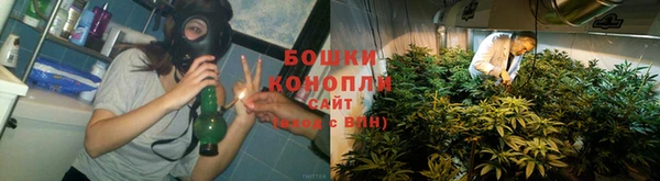 каннабис Белокуриха
