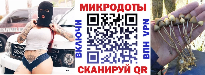 Галлюциногенные грибы ЛСД  Темников 